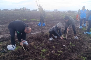 11 Kasım Milli ağaçlandırma günü etkinliğinden kareler