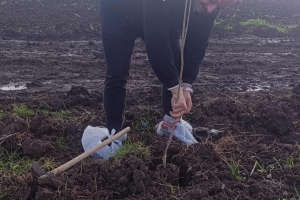 11 Kasım Milli ağaçlandırma günü etkinliğinden kareler