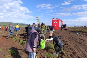 11 Kasım Milli ağaçlandırma günü etkinliğinden kareler
