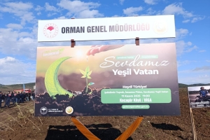 11 Kasım Milli ağaçlandırma günü etkinliğinden kareler