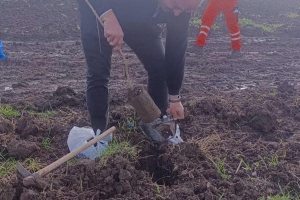 11 Kasım Milli ağaçlandırma günü etkinliğinden kareler
